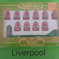 Subbuteo LW