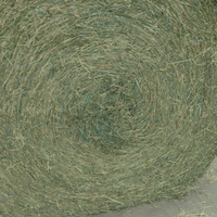 Erba medica rotoballe