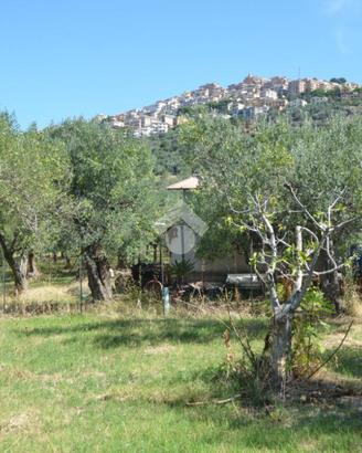 TER. AGRICOLO A TIVOLI