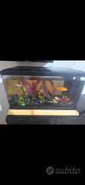 acquario a € 150
