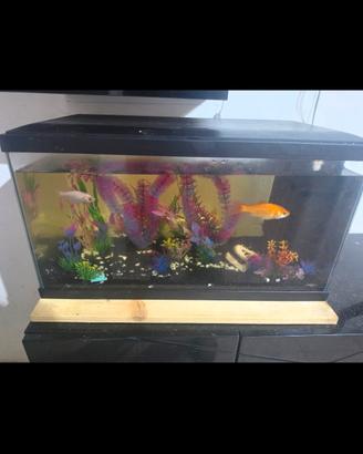 acquario a € 150