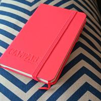 Agenda Campari Taccuino Rosso da Collezione 14 cm.