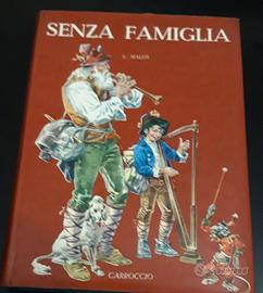 Libro Senza famiglia