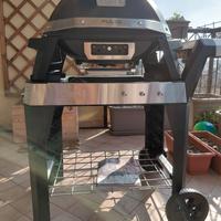 Barbecue Weber Pulse 2000