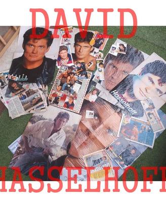 David Hasselhoff  collezione privata