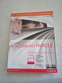 Il nuovo si accendono parole