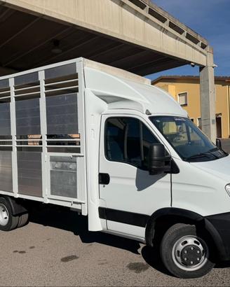 Iveco Daily 35C15 3.0 150cv trasporto animali vivi