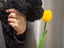 Immagine 5