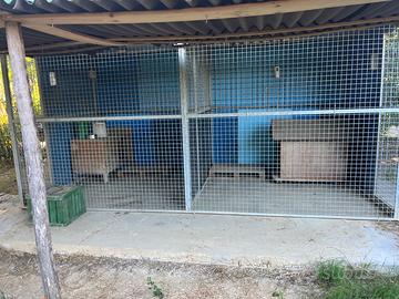 Box per cani da esterno 6x3 con divisorio