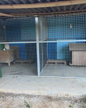 Box per cani da esterno 6x3 con divisorio