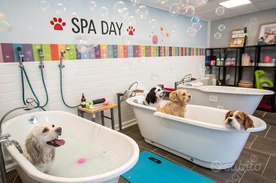 LOFT A OSPEDALETTO D'ALPINOLO