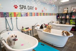 LOFT A OSPEDALETTO D'ALPINOLO