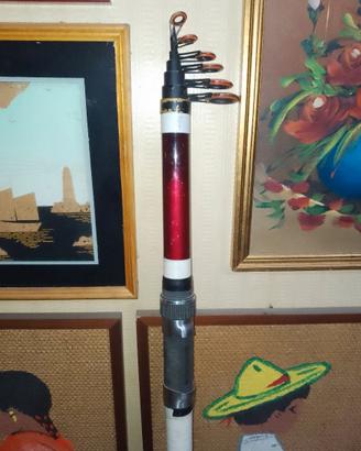 Canna da surfcasting