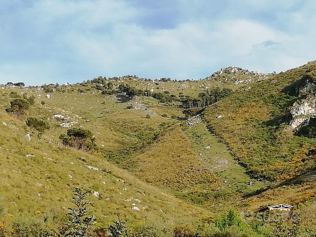 Terreno agricolo, pascolo, bosco. monreale