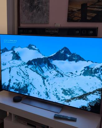 OLED 55"lg