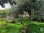 Immagine 24