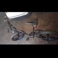 Fat Bike