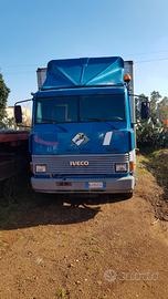 Iveco 115 Solo Telaio