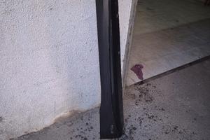 minigonne smart brabus