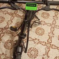 Bici elettrica
