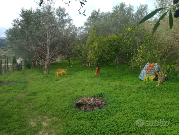 Fattoria campagna terreno allevamento scampagnata