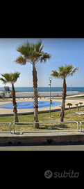 Vacanze mare Toscana Luglio Agosto