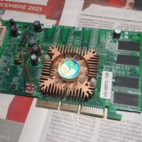 Scheda video AGP 8X GeForce Nvidia FX 5500 128MB