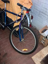 Bicicletta Montain Bike