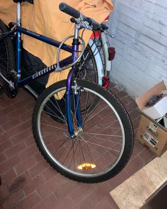 Bicicletta Montain Bike
