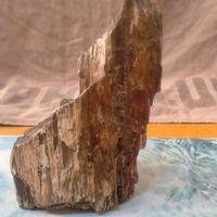 Raro Legno Pietrificato del SUDAN (El-Kurru)