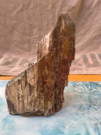 Raro Legno Pietrificato del SUDAN (El-Kurru)