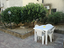 Immagine 5