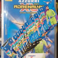 Album più set completo ( 108 cards ) Azzurri adren