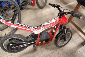 Mini trial beta elettrico e16 2015