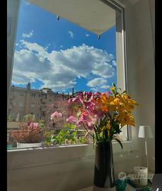 Stanza silenziosa in casa nuova a Lambrate