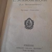 Emilio Zola libro antico