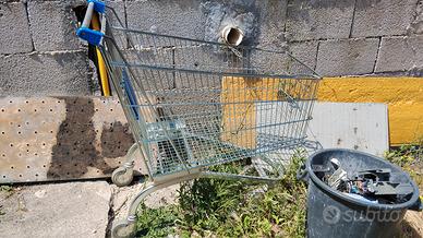 Carrello per la spesa 