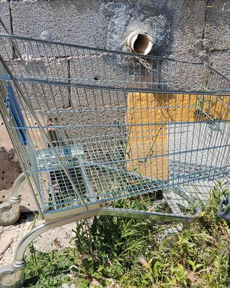 Carrello per la spesa 