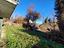 Immagine 28