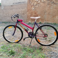 Mountain bike