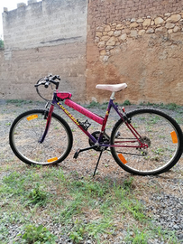 Mountain bike