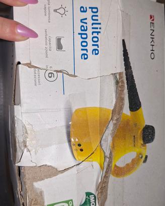 pulitore a vapore
