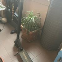 Monopattino Momo design