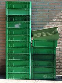 contenitori plastica verdi e resistenti 