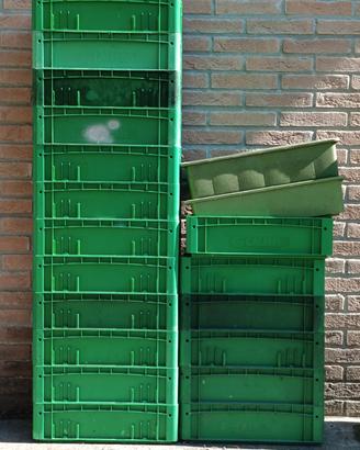 contenitori plastica verdi e resistenti 