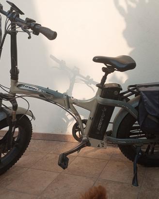 Bicicletta elettrica Harry's