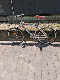 Biciclette da uomo e donna