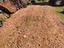 Immagine 13