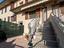 Immagine 13