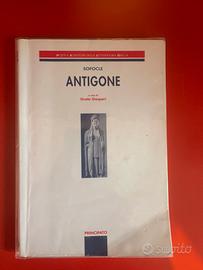 Libro di greco Antigone